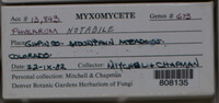 Image Associated With the Occurence